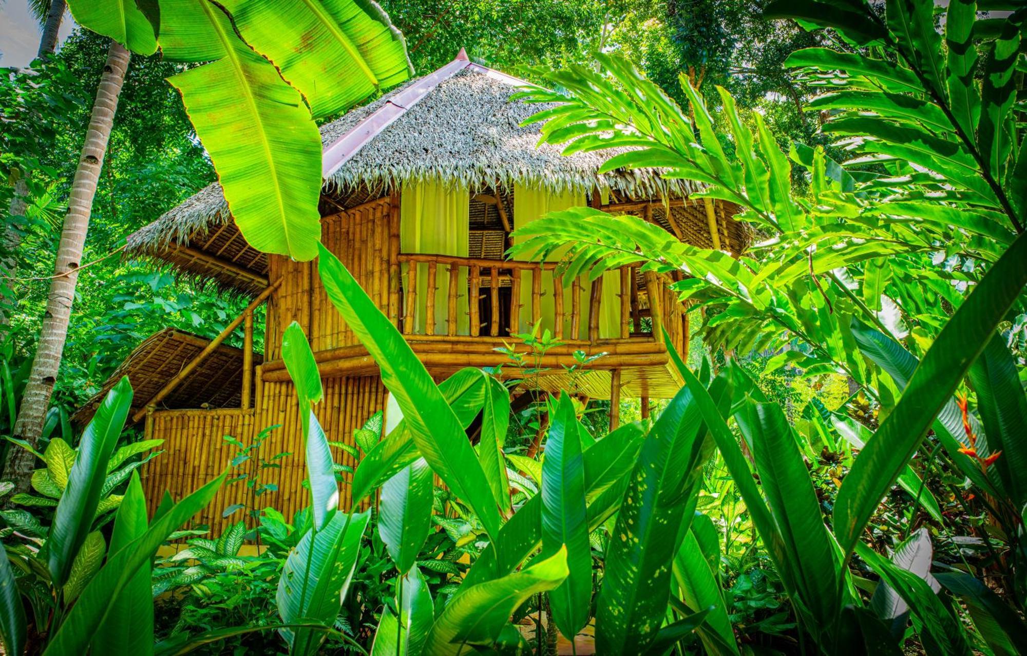 Water To Forest Ecolodge Loboc Exterior photo