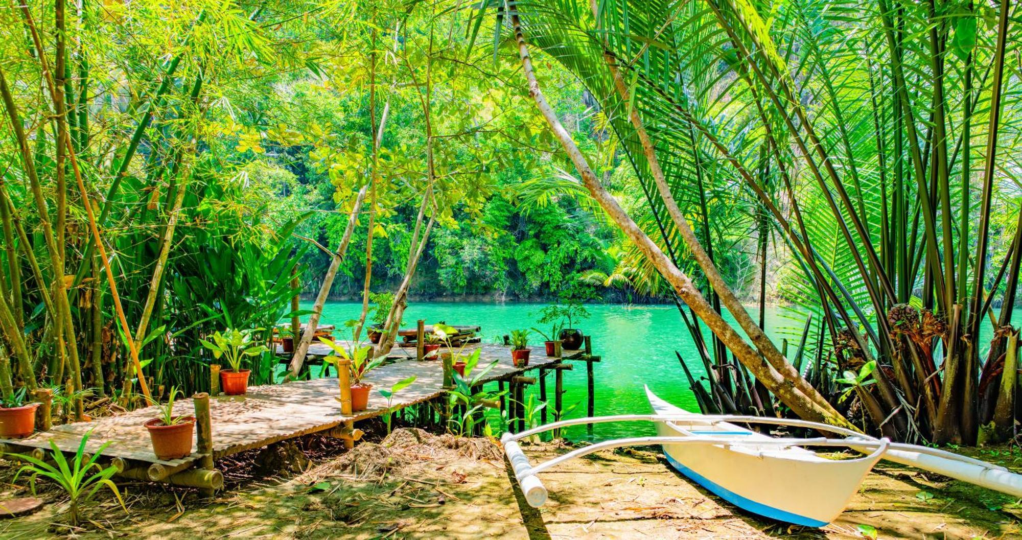 Water To Forest Ecolodge Loboc Exterior photo