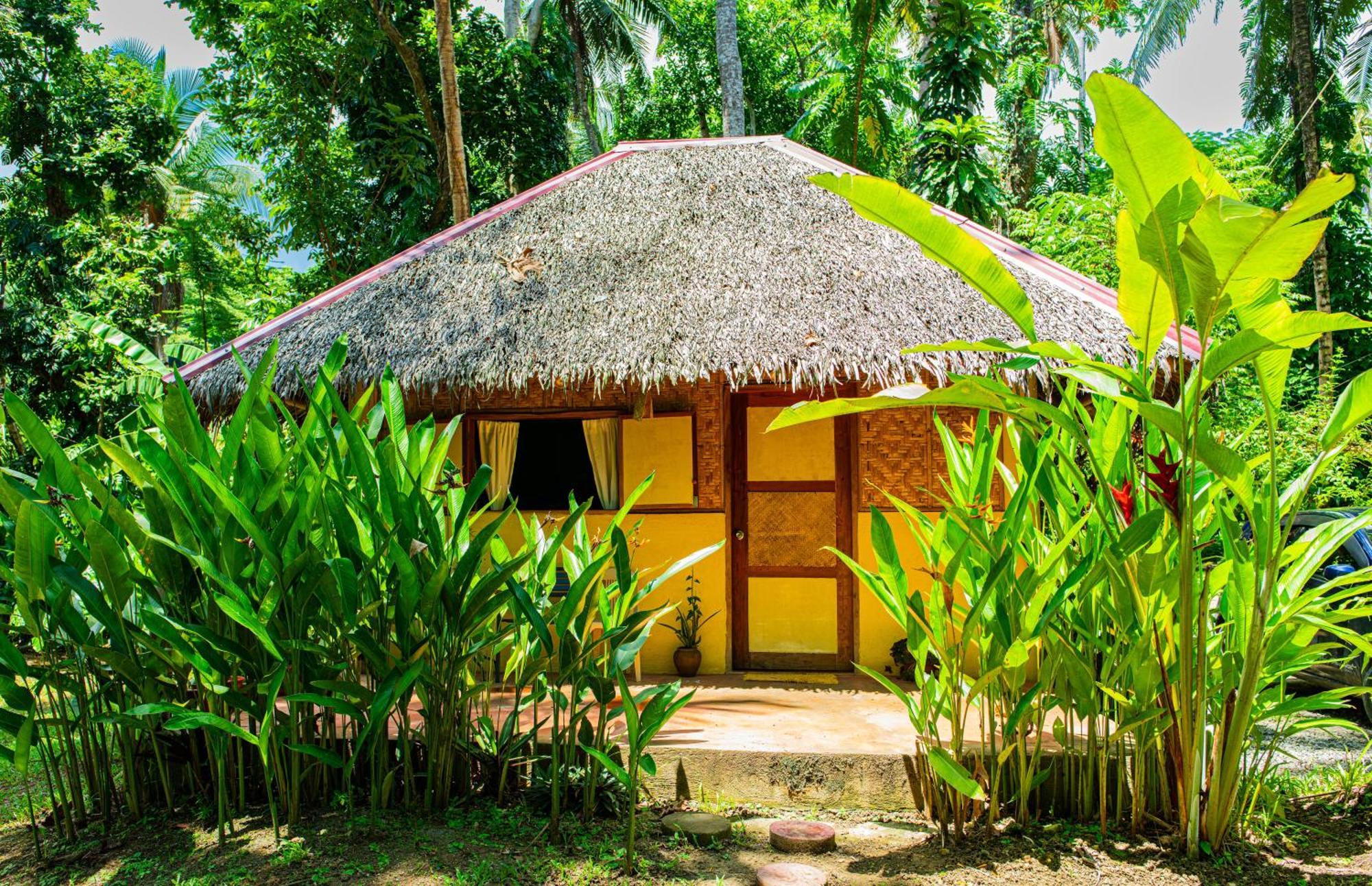 Water To Forest Ecolodge Loboc Exterior photo