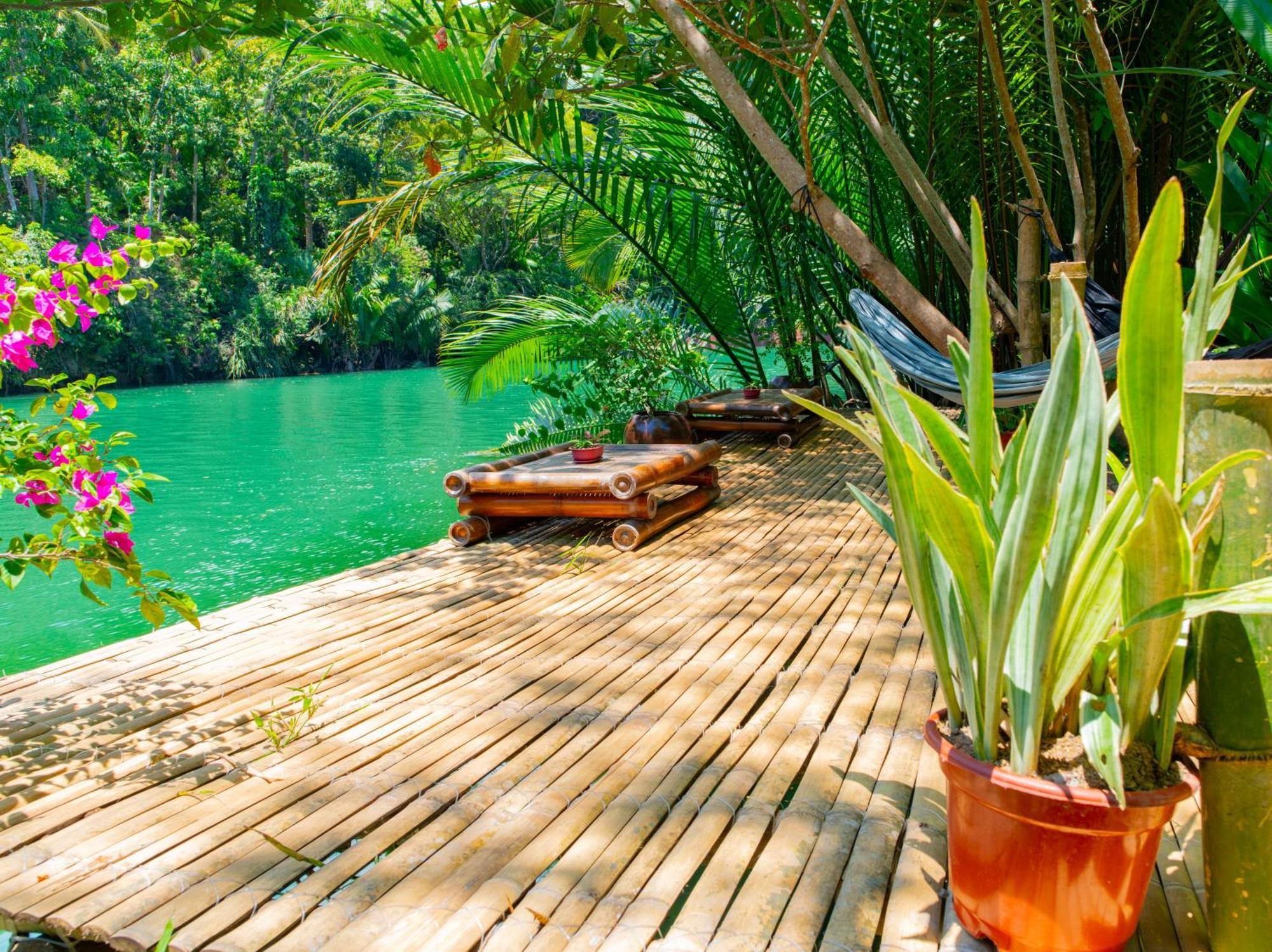 Water To Forest Ecolodge Loboc Exterior photo