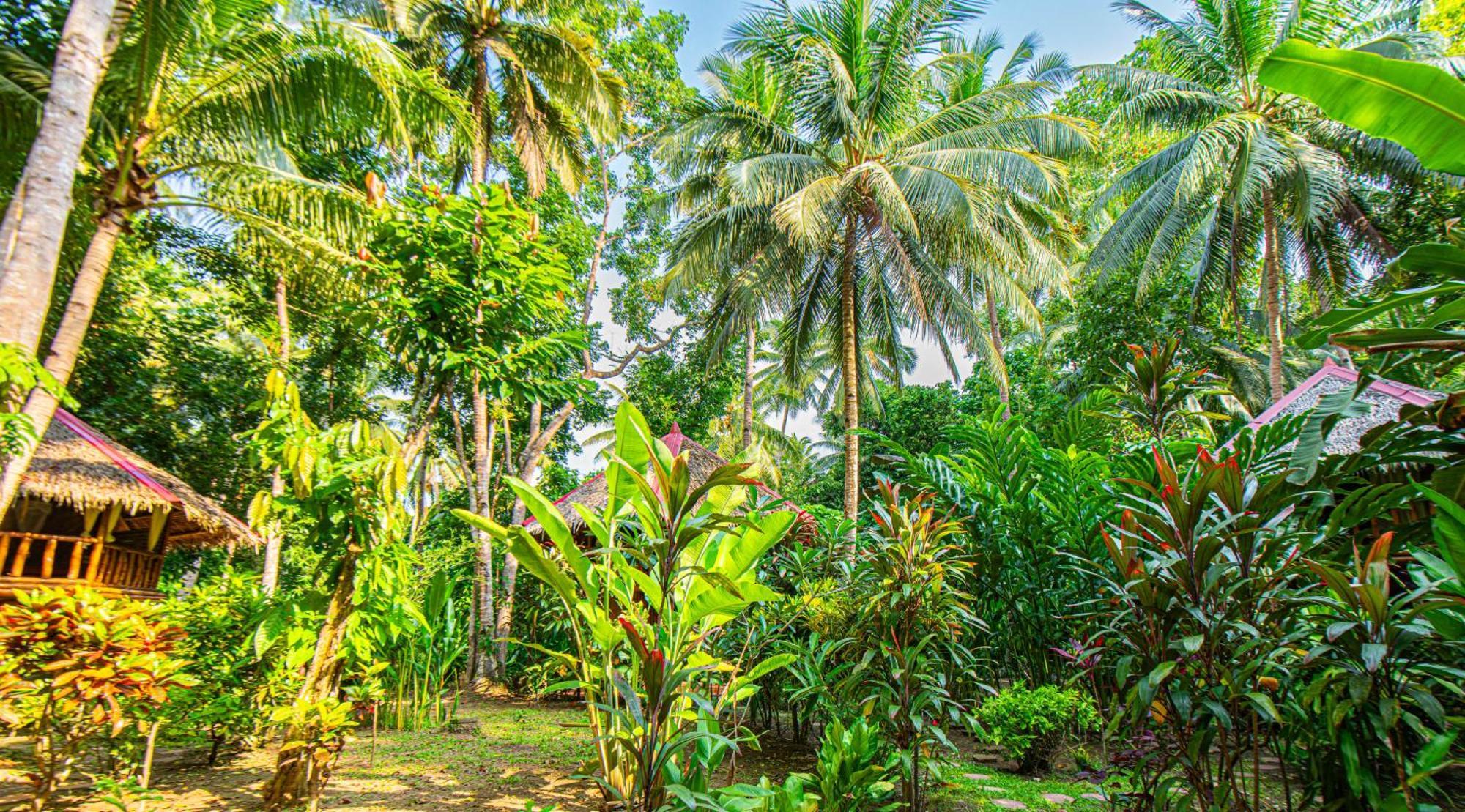 Water To Forest Ecolodge Loboc Exterior photo
