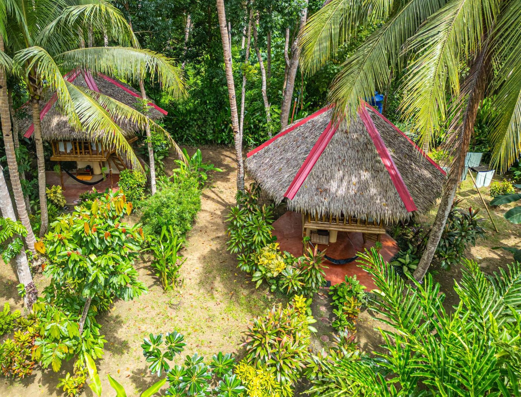 Water To Forest Ecolodge Loboc Exterior photo