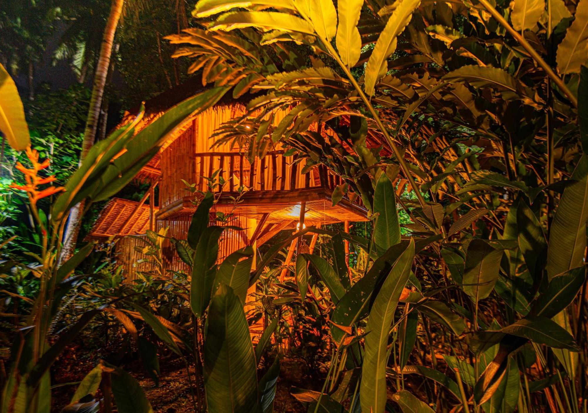Water To Forest Ecolodge Loboc Exterior photo