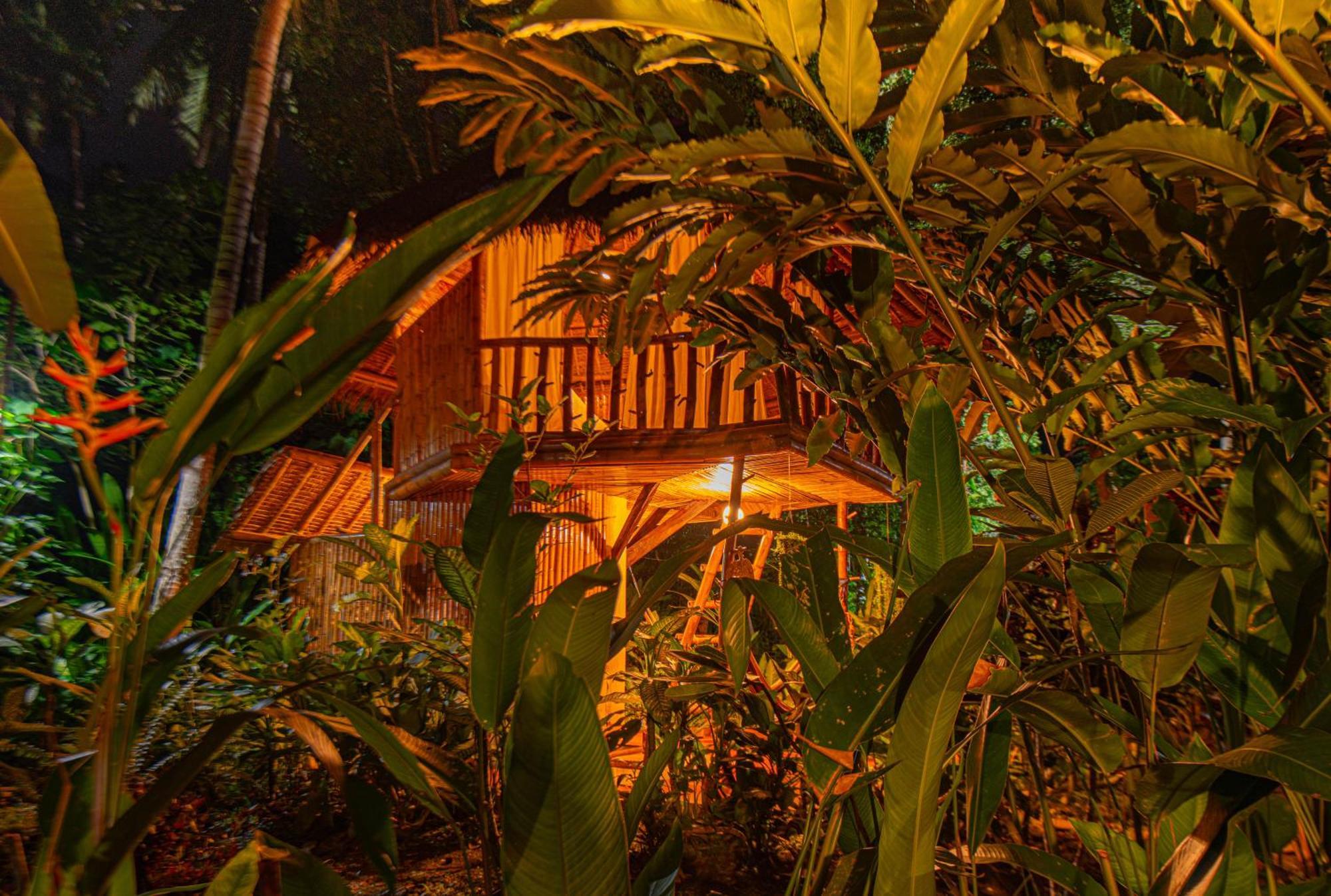 Water To Forest Ecolodge Loboc Exterior photo