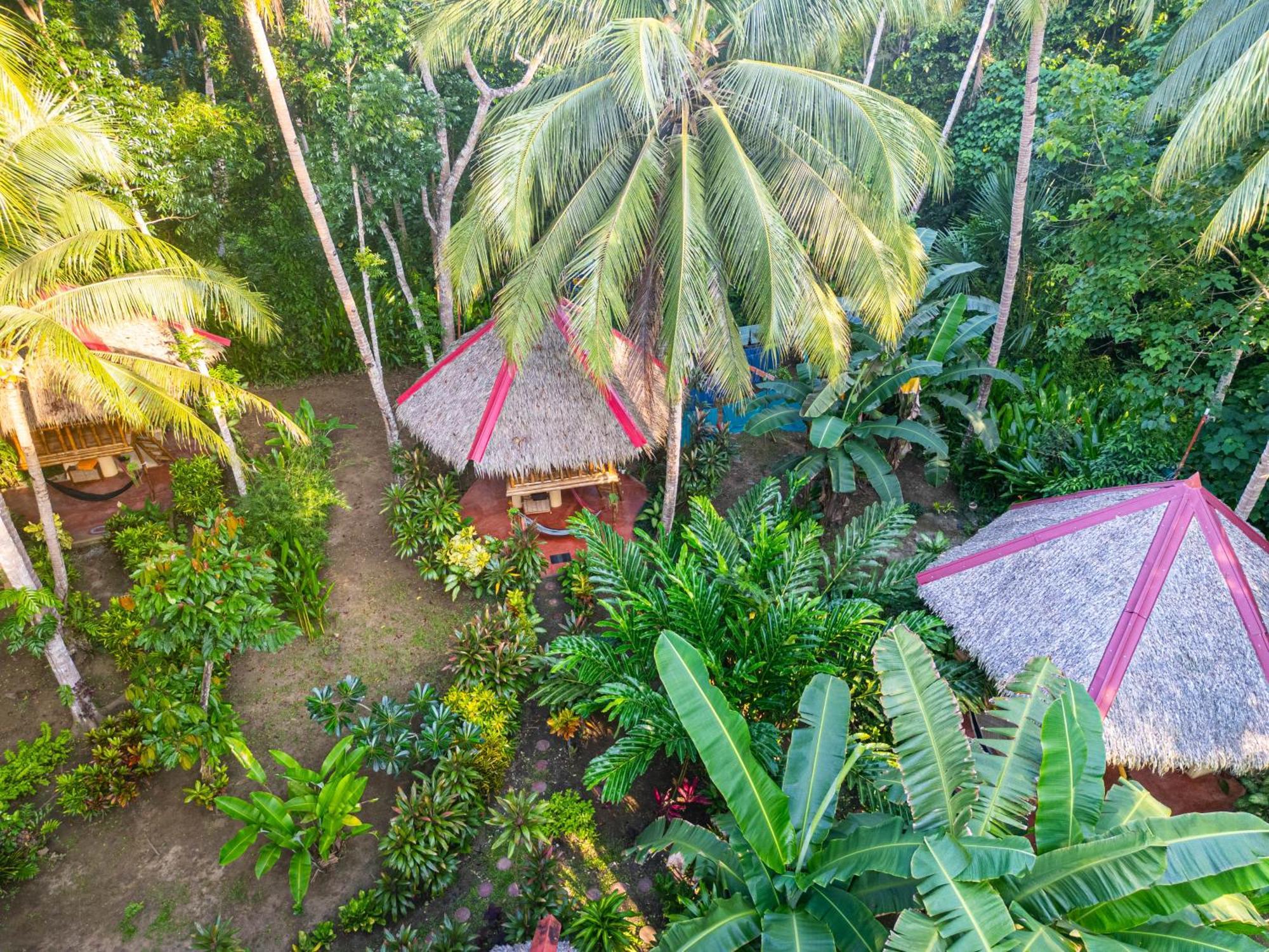 Water To Forest Ecolodge Loboc Exterior photo