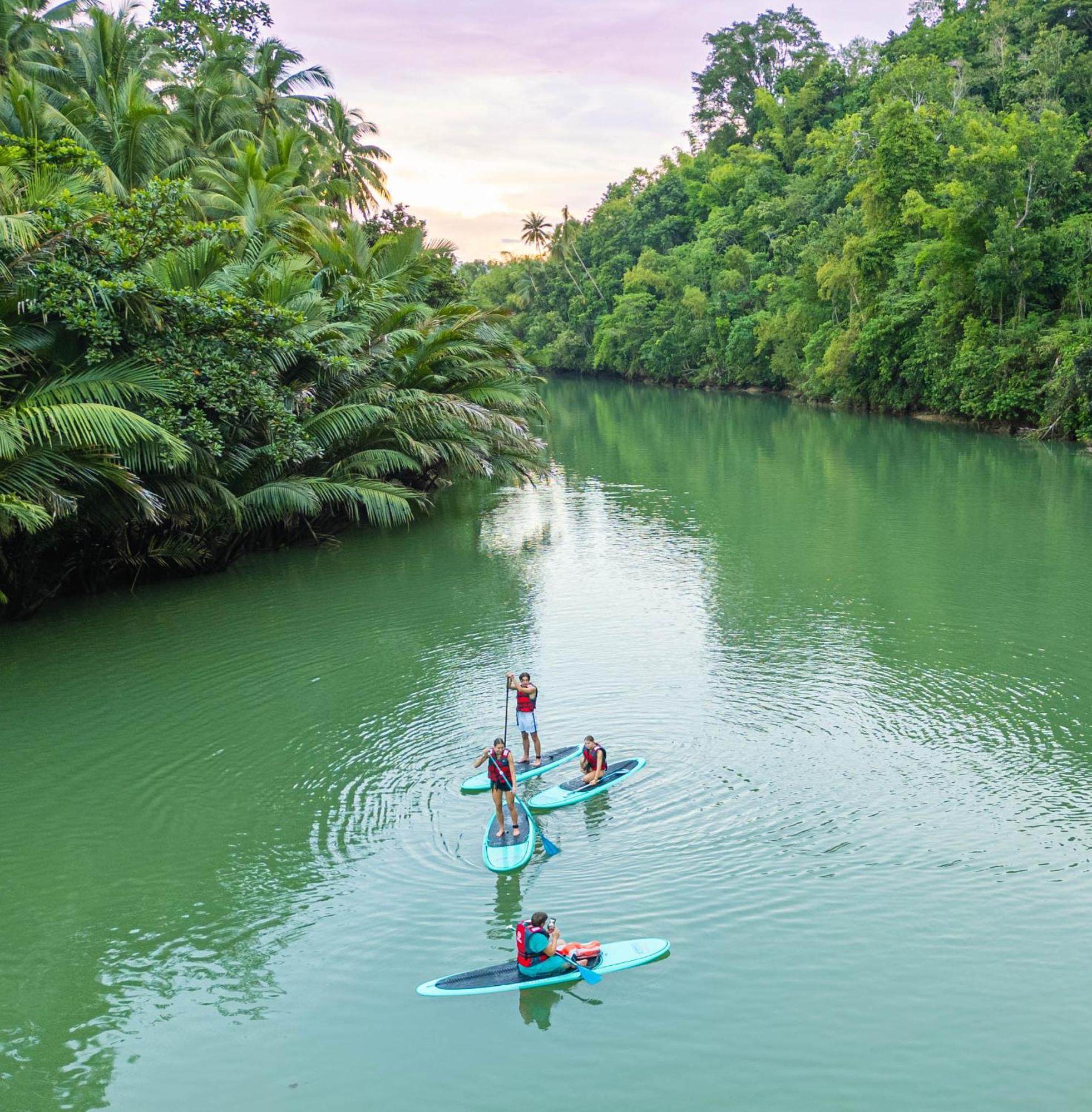 Water To Forest Ecolodge Loboc Exterior photo
